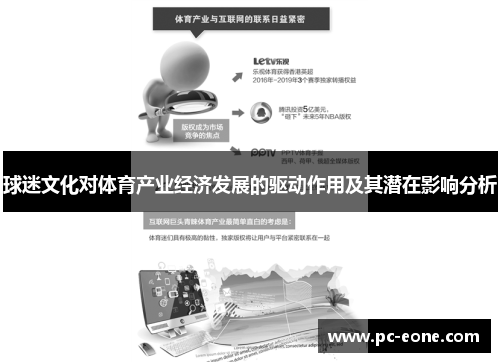 球迷文化对体育产业经济发展的驱动作用及其潜在影响分析