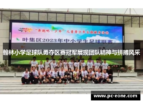 翰林小学足球队勇夺区赛冠军展现团队精神与拼搏风采