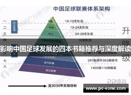 影响中国足球发展的四本书籍推荐与深度解读