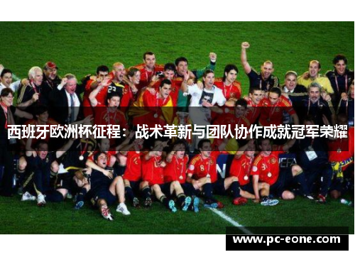 西班牙欧洲杯征程：战术革新与团队协作成就冠军荣耀