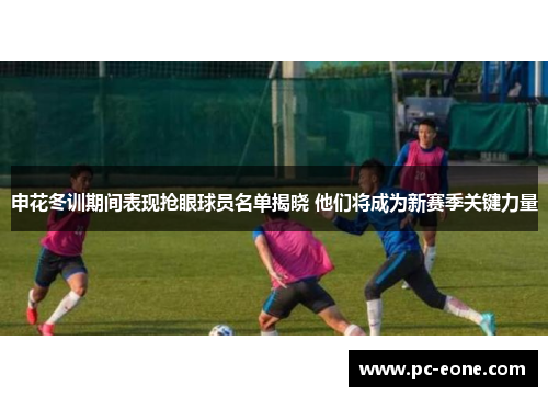 申花冬训期间表现抢眼球员名单揭晓 他们将成为新赛季关键力量