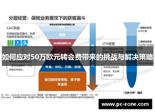 如何应对50万欧元转会费带来的挑战与解决策略