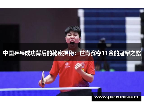 中国乒乓成功背后的秘密揭秘：世青赛夺11金的冠军之路