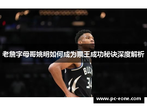 老詹字母哥姚明如何成为票王成功秘诀深度解析