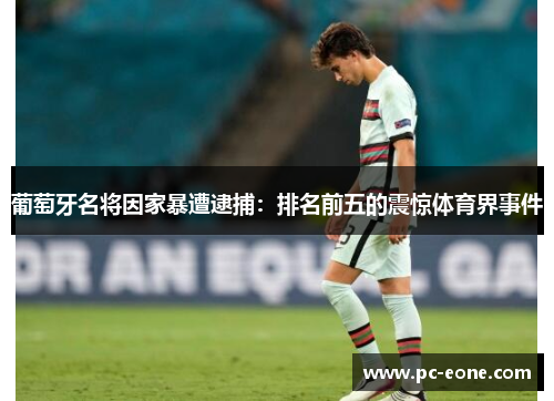 葡萄牙名将因家暴遭逮捕：排名前五的震惊体育界事件