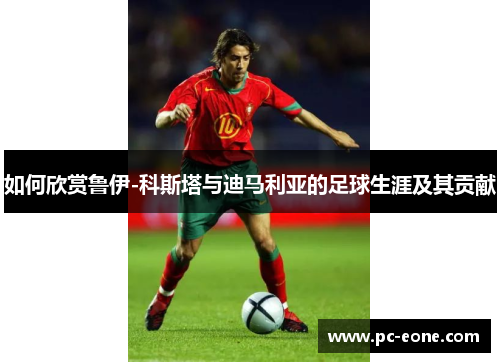 如何欣赏鲁伊-科斯塔与迪马利亚的足球生涯及其贡献