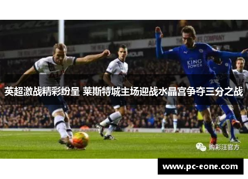 英超激战精彩纷呈 莱斯特城主场迎战水晶宫争夺三分之战