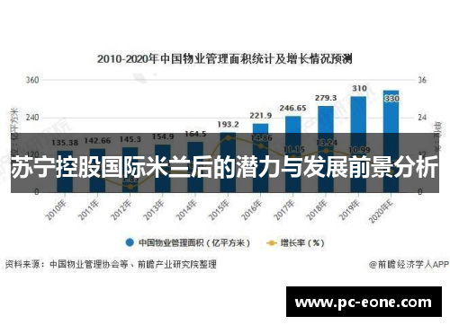 苏宁控股国际米兰后的潜力与发展前景分析