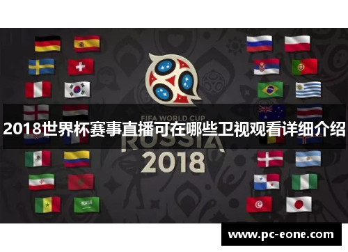2018世界杯赛事直播可在哪些卫视观看详细介绍
