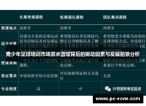青少年足球培训市场需求激增背后的驱动因素与发展前景分析