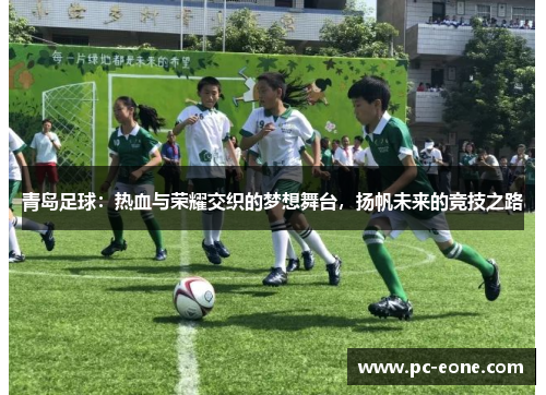 青岛足球：热血与荣耀交织的梦想舞台，扬帆未来的竞技之路